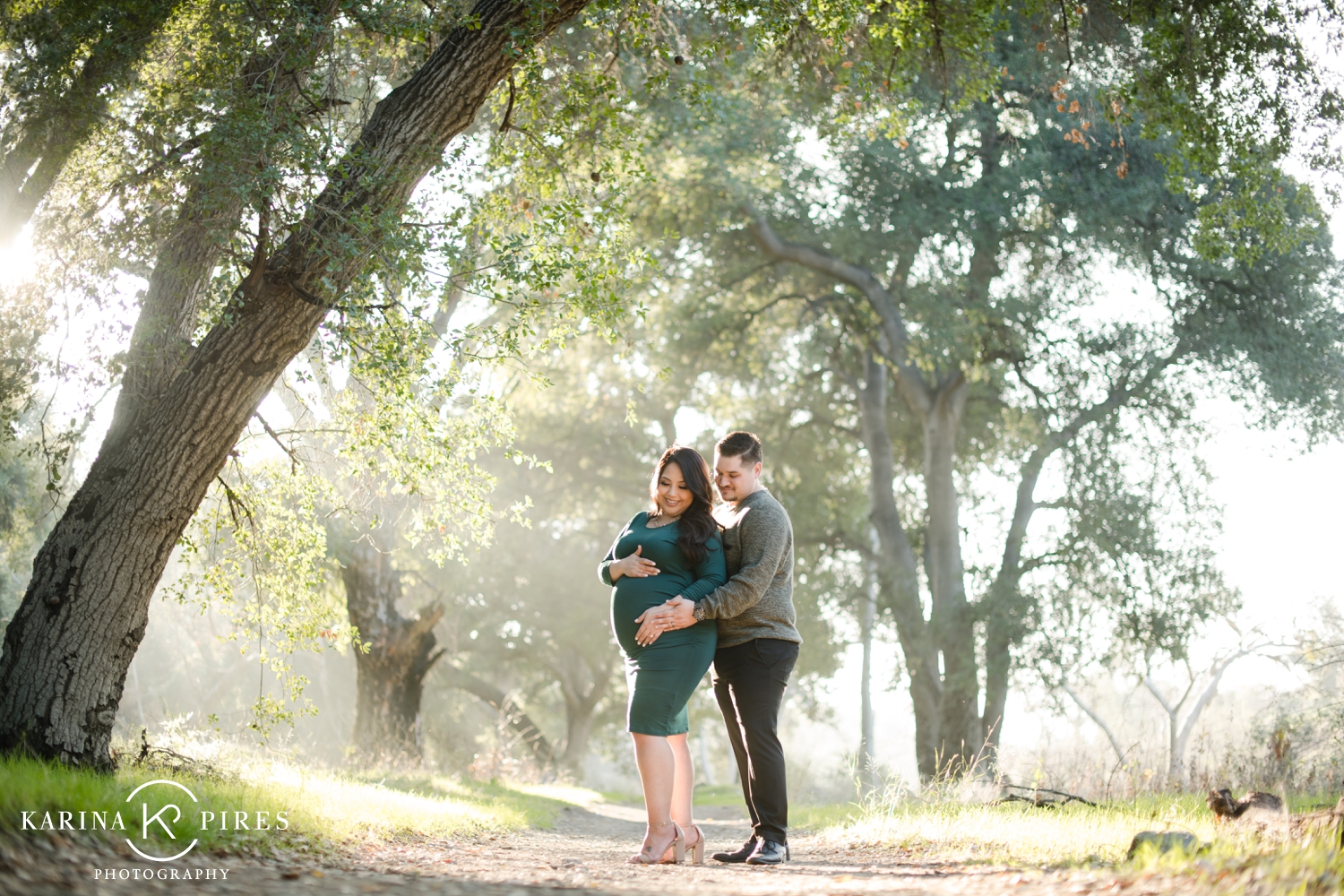 Santa Clarita Maternity Session