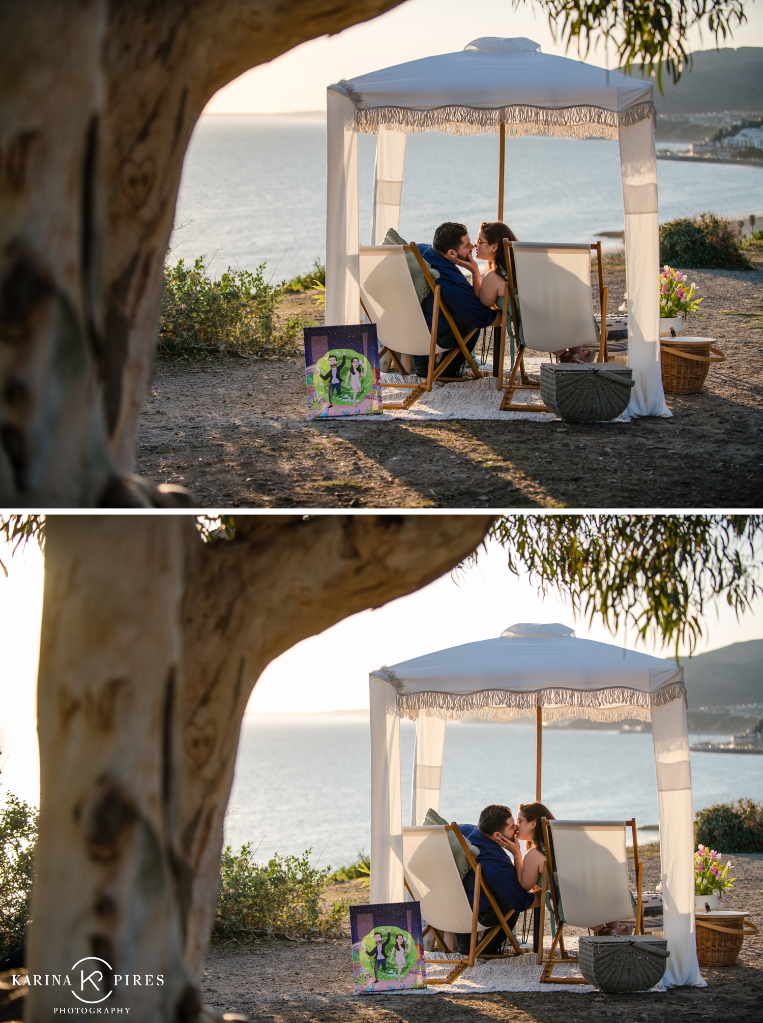 Picnic Proposal at the bluffs in Pacific Palisades California 