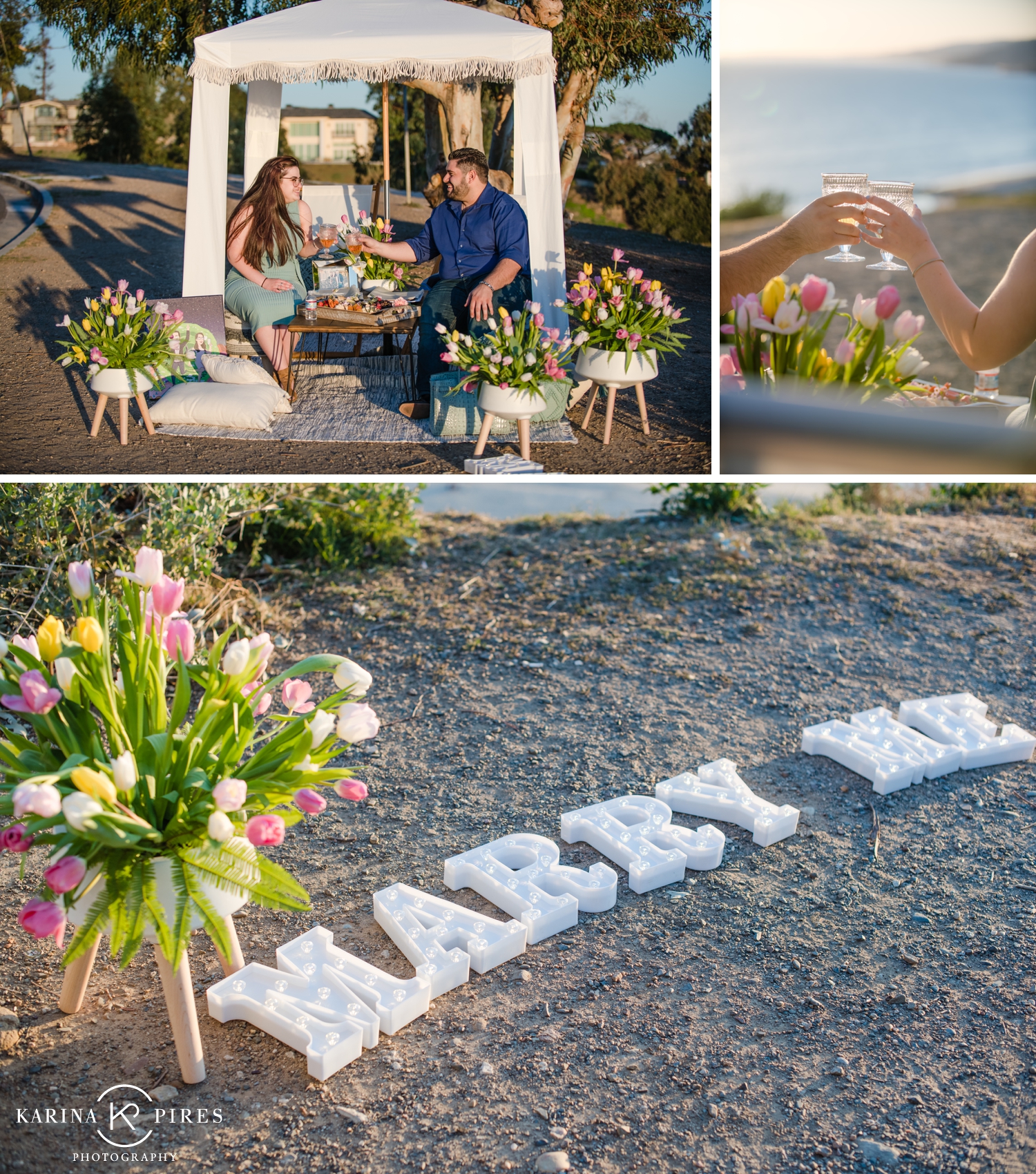 Proposal picnic designed and planned by Catalina Productions