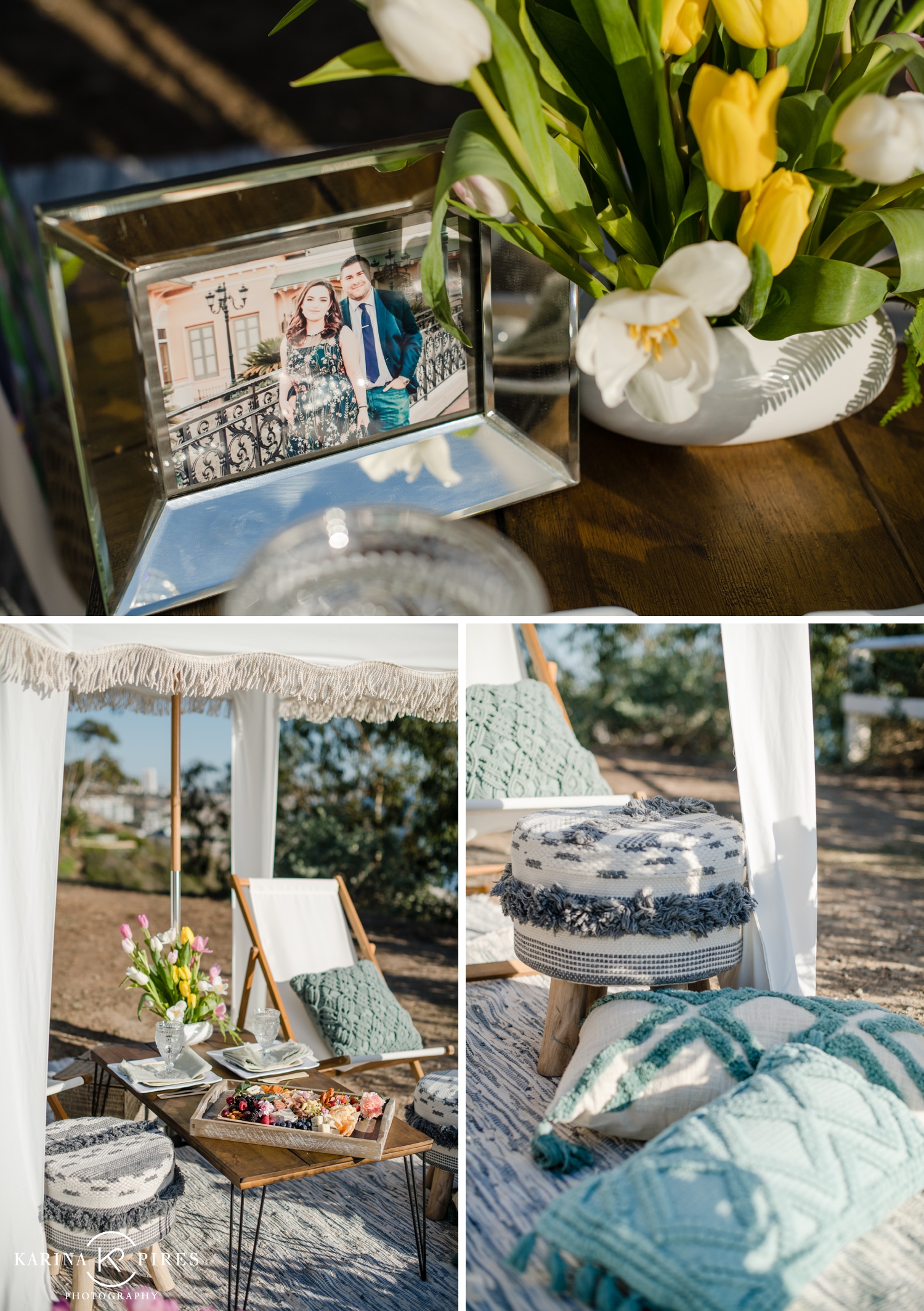 Proposal picnic designed and planned by Catalina Productions