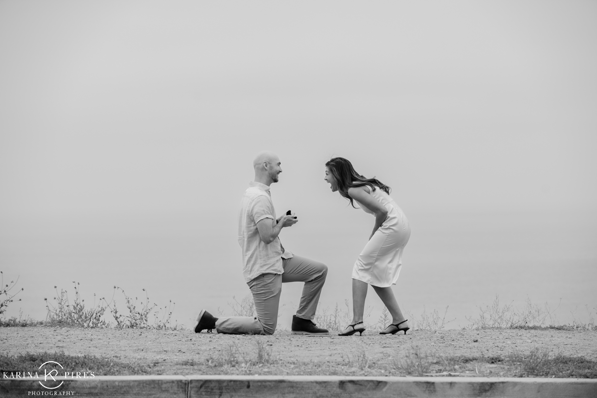 Surprise proposal in Pacific Palisades