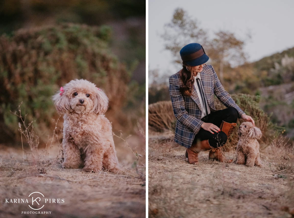 Family dog joining the photos during a warm and joyful outdoor session in California