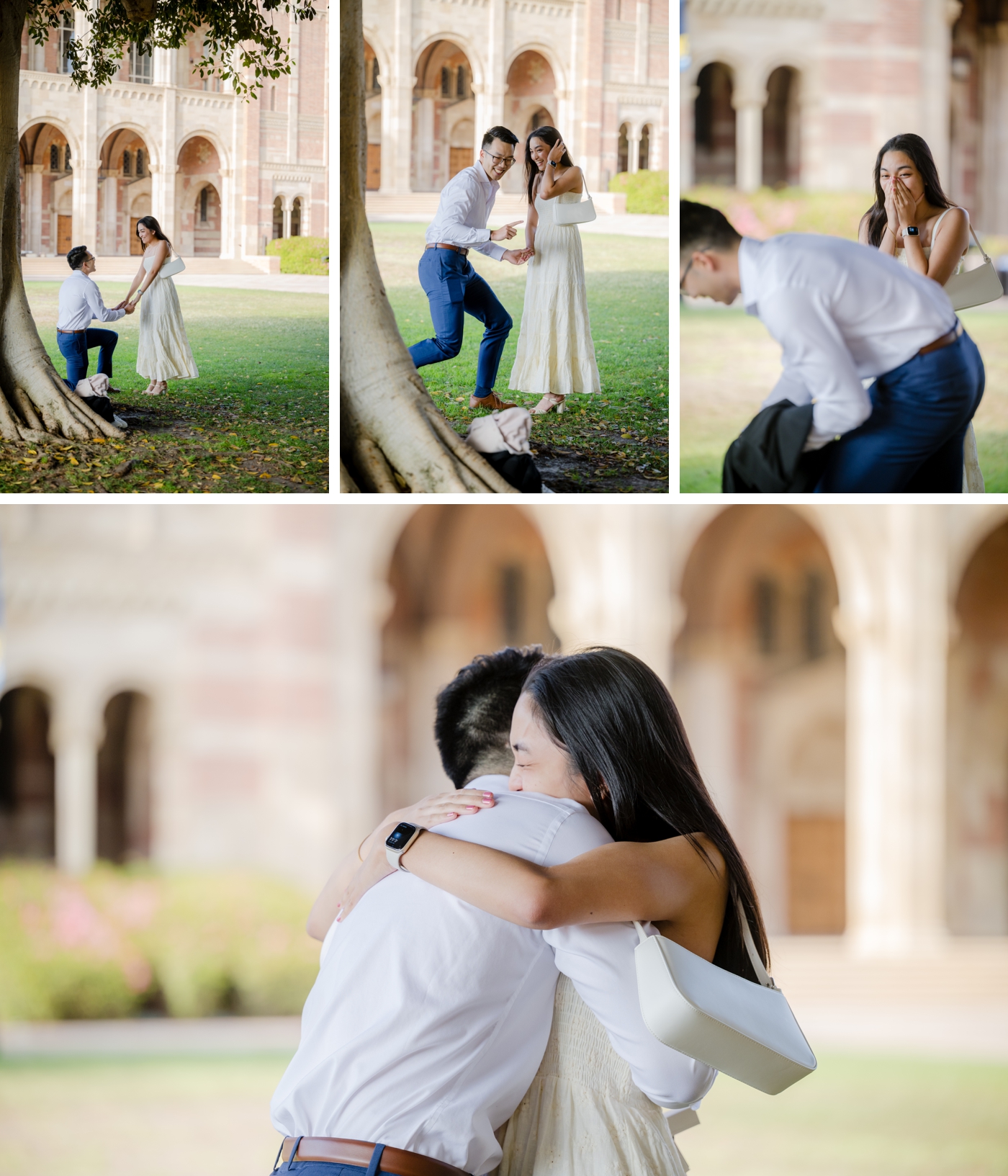 Surprise proposal in front of Royce Hall, by a tree at UCLA
