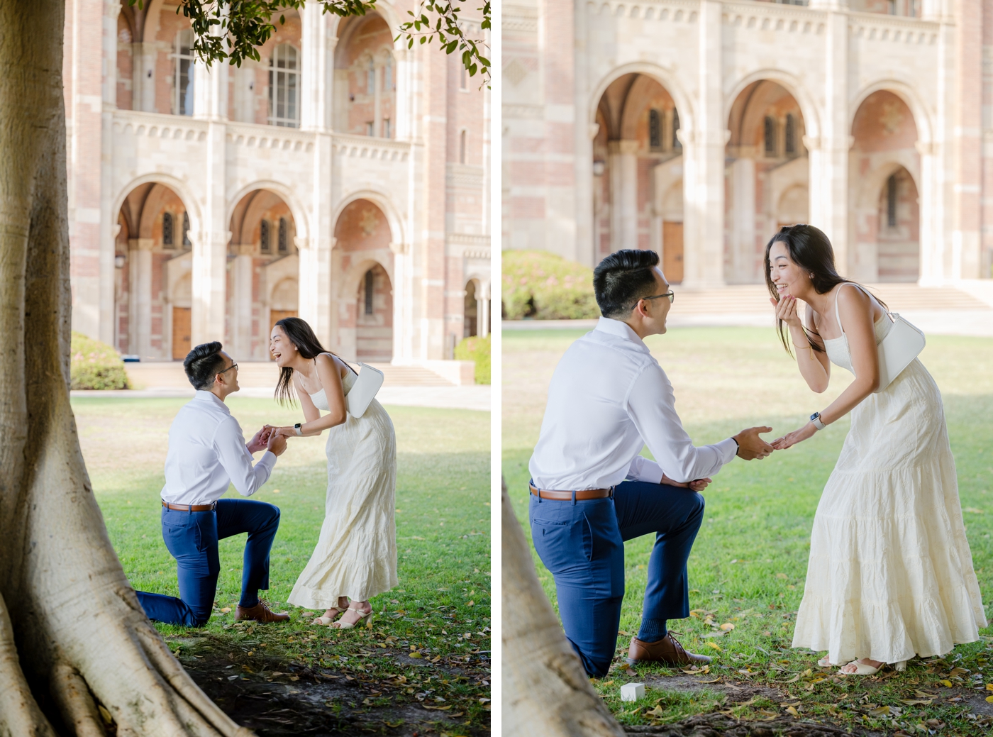 Surprise proposal in front of Royce Hall, by a tree at UCLA